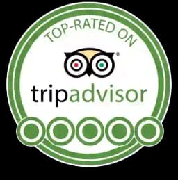 trip advisor logo